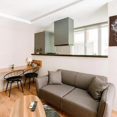 Chic Modern Flat Near Torium Mall In Beylikduzu Apartamento Estambul